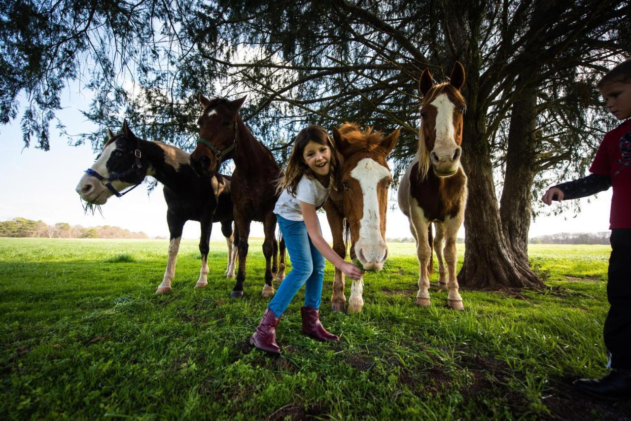 Southern Cross Guest Ranch Madison Buitenkant foto